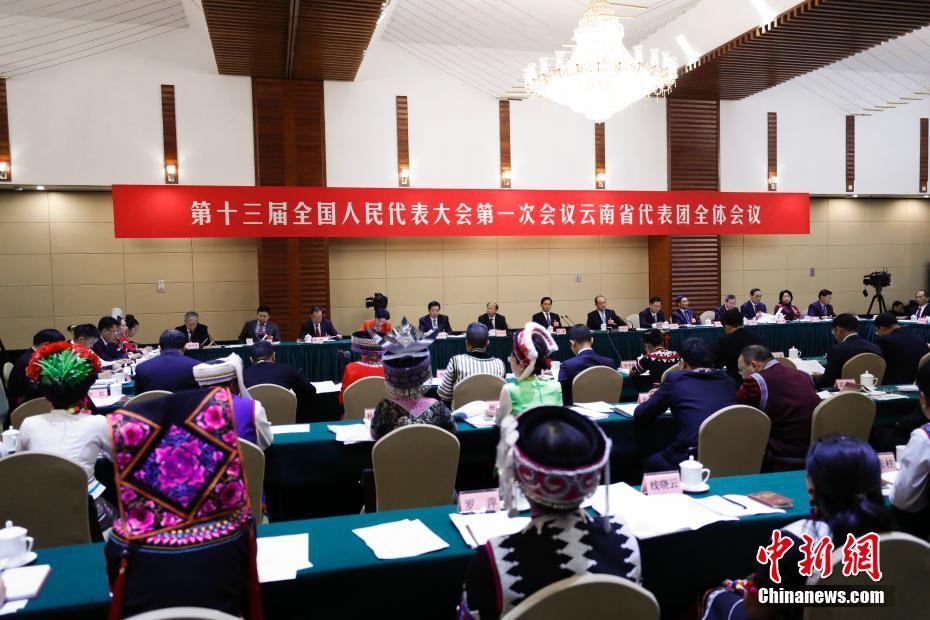 云南省代表团举行全体会议 审议政府工作报告